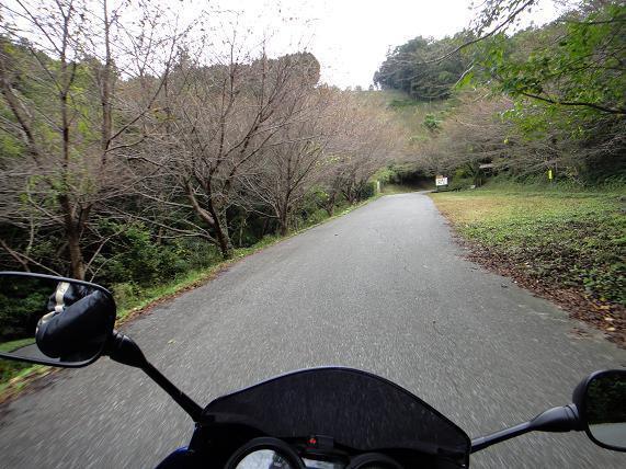 9　冬の風景.JPG
