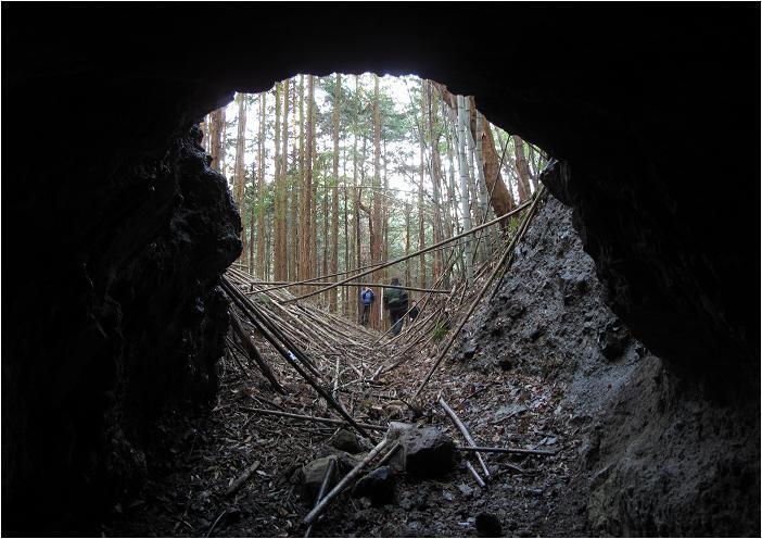 これぞ探検的な風景です.JPG