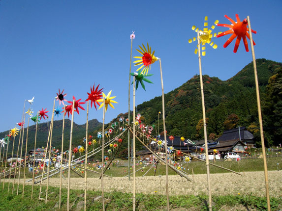 じっと見てると目が回ります.jpg