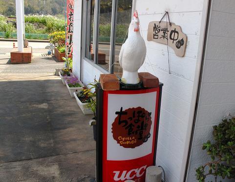 ちっぽら食堂.JPG