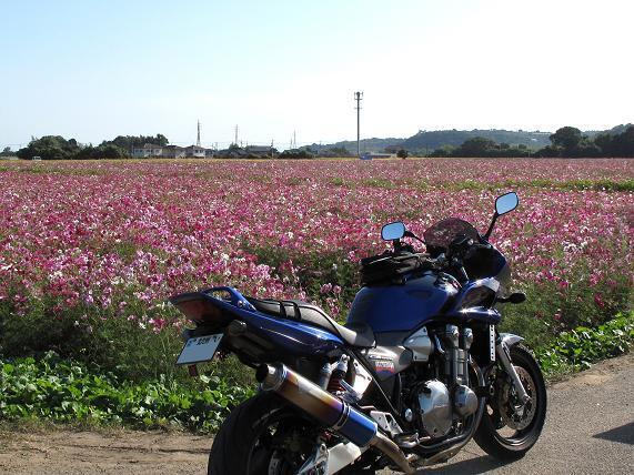 ちょっと寄り道.JPG