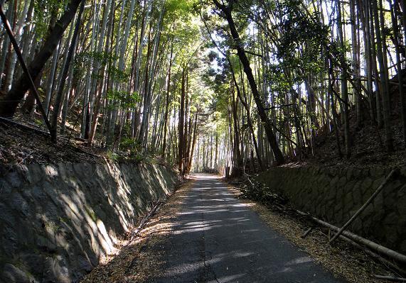とことん裏道で帰る.JPG