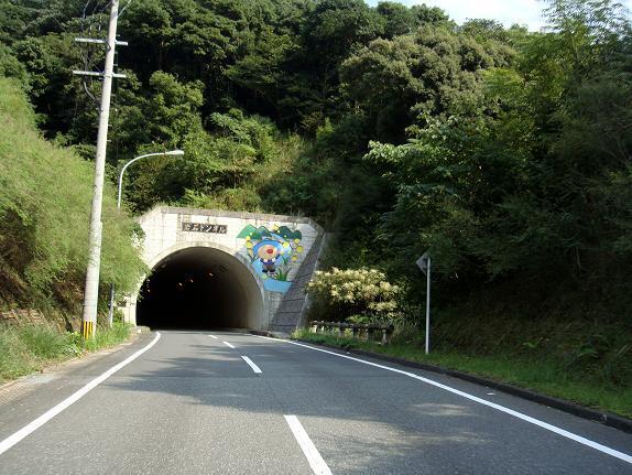 ふるさと林道岩石線.JPG