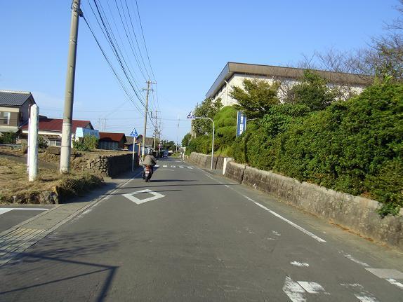 また遭遇です.JPG