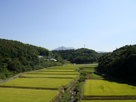 グリーンロードから普賢岳.jpg