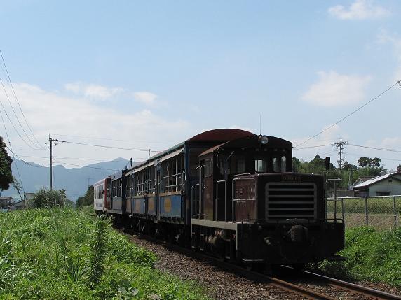 トロッコ列車でした.JPG