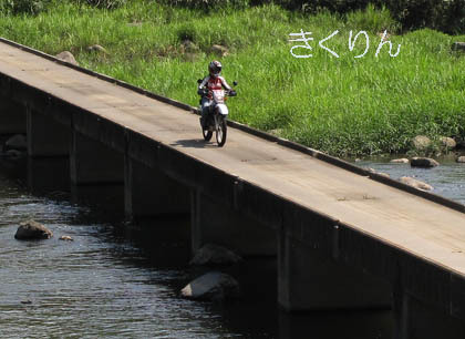 バーバラきくりん.jpg