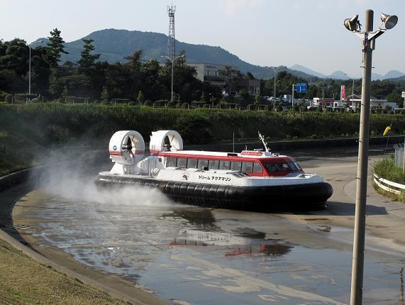 フワフワ浮いています.JPG