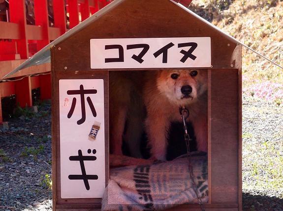 ホギ.JPG