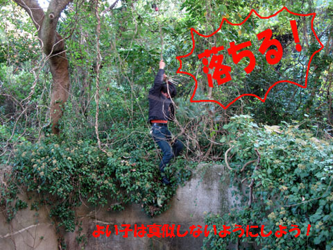 下は底なし井戸だ.jpg