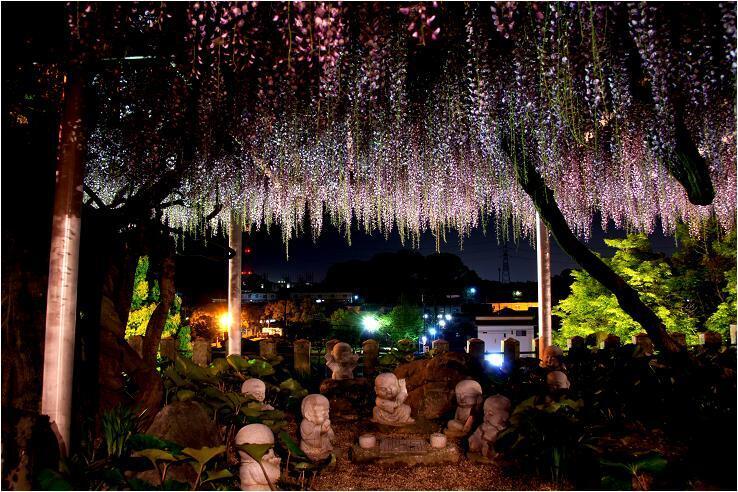 夜はすこしだけ不気味？.JPG