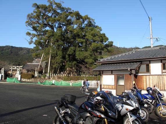大楠到着.JPG