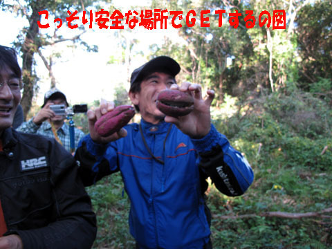 安全第一です.jpg