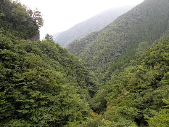山しかないですケロ.JPG