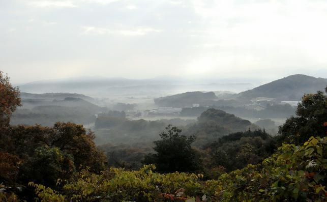 朝の犀川.JPG