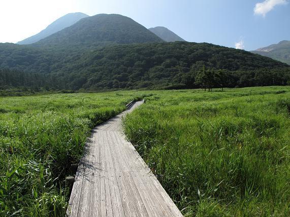 湿原の中はこの木の歩道の上からでてはダメ.JPG
