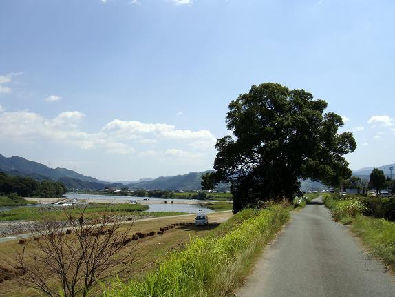 筑後川です.JPG