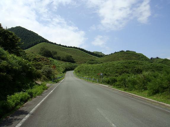 緑道.JPG