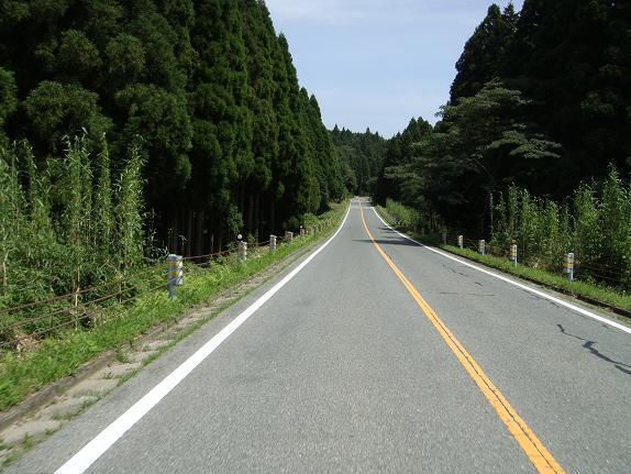 草原の下は森林の中を走ります.JPG