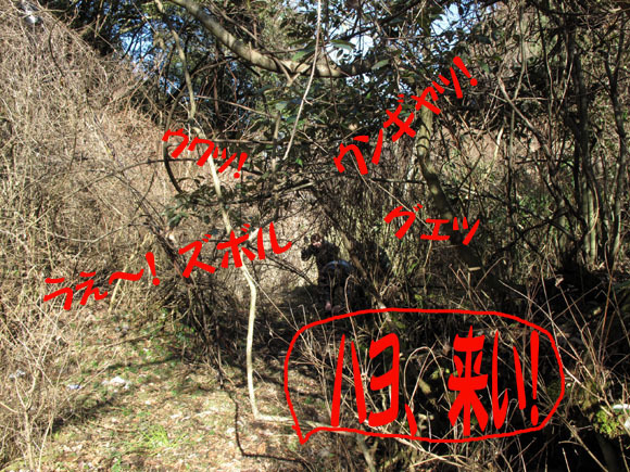 藪と格闘するマイナリスト.jpg