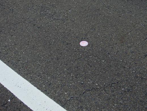 見つけた！.JPG