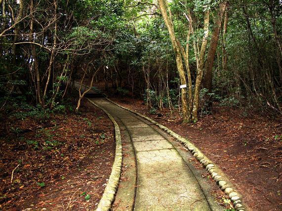 遊歩道です.JPG