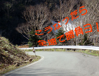 鹿鹿.jpg
