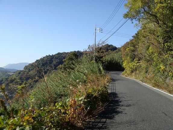 ２０、島の尾根沿いの道はこんなん.JPG
