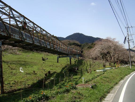 ５殿川から平尾台へ.JPG