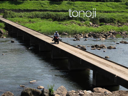 tonojiさん.jpg